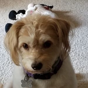 Meet your Posher, Cathy